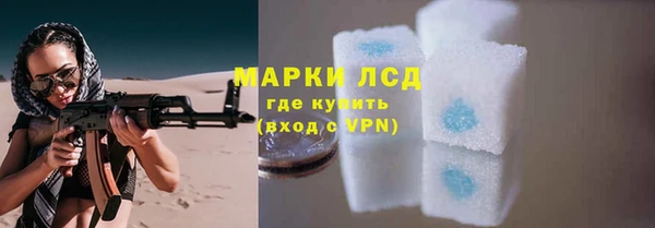 стаф Волоколамск