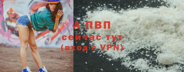 стаф Волоколамск