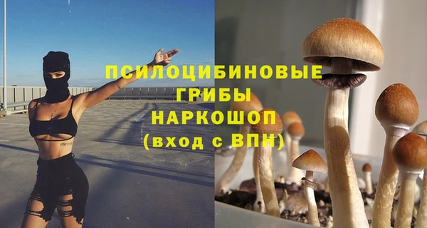 стаф Волоколамск