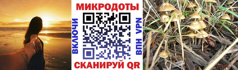 Псилоцибиновые грибы GOLDEN TEACHER  ОМГ ОМГ ссылка  Липецк  где купить  